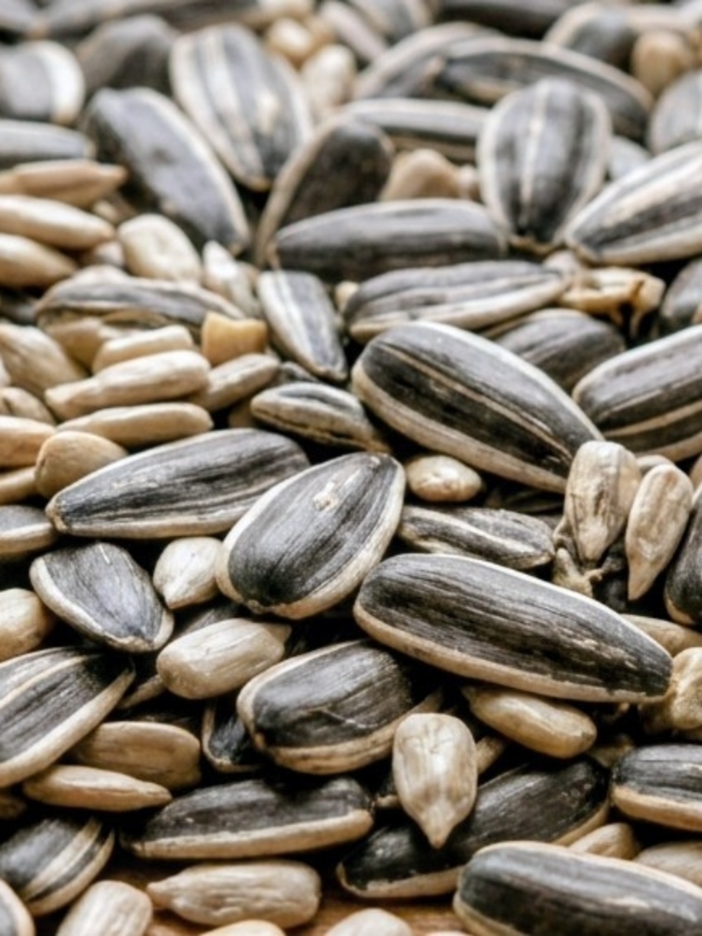 Mystery Mix Sunflower Seeds - Sunflower Seeds Mix - Natural Black & Cream Shells
